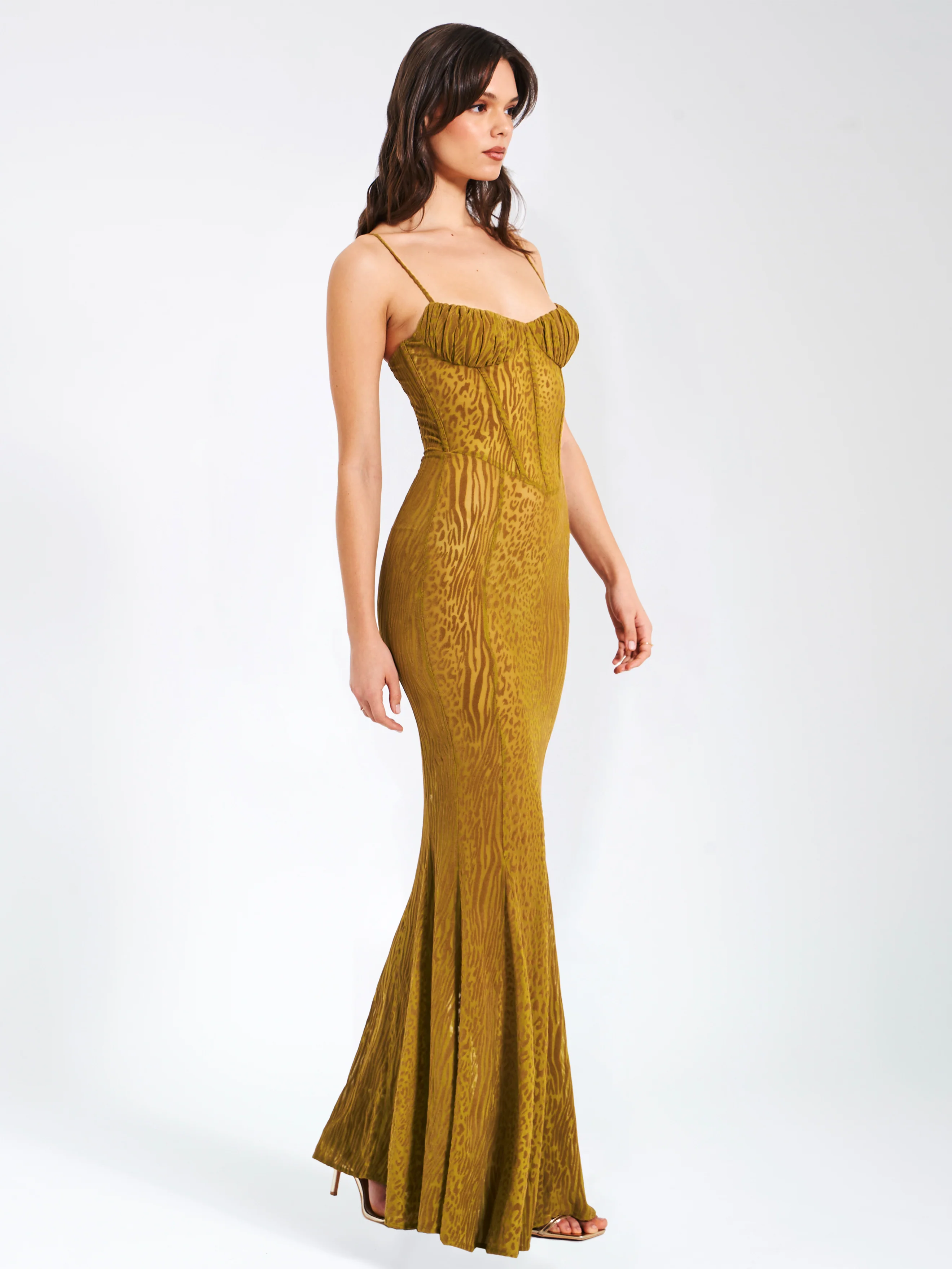 Ulani Gold Burnout Velvet Detail Mesh Maxi Dress - Image 9
